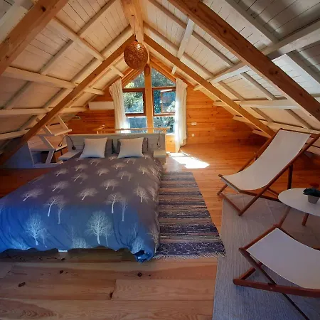 Del Bosque Cerca De Ferienhaus