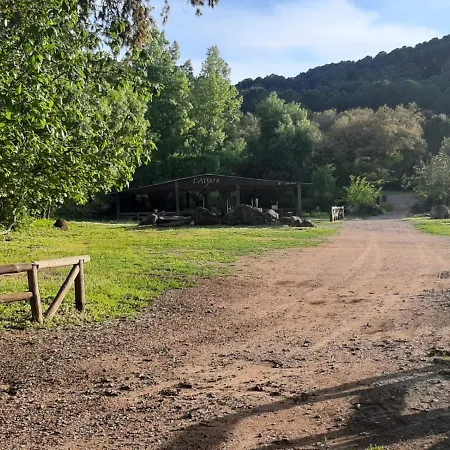 Del Bosque Cerca De * Córdoba