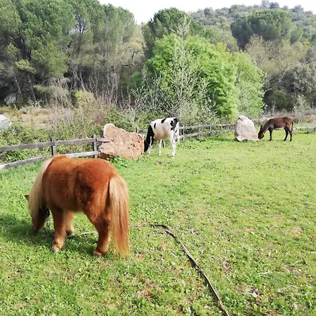 Ferienhaus Del Bosque Cerca De Córdoba