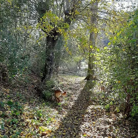 Prázdninový dům Del Bosque Cerca De