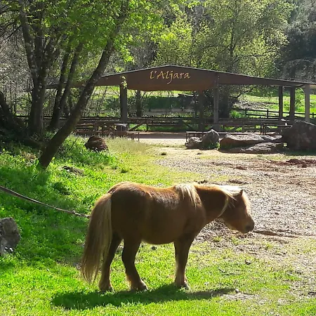 Del Bosque Cerca De Ferienhaus *