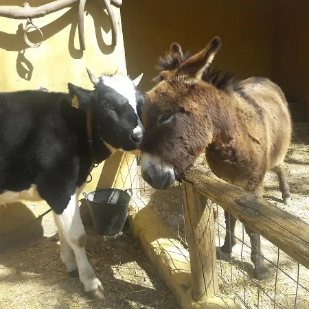 Del Bosque Cerca De Ferienhaus Córdoba
