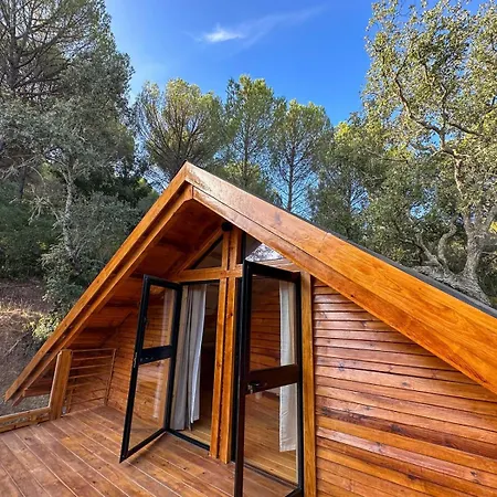 Del Bosque Cerca De Ferienhaus