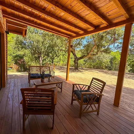 Del Bosque Cerca De Ferienhaus