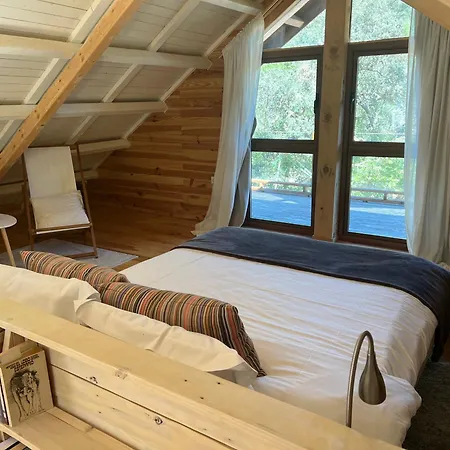 Del Bosque Cerca De Ferienhaus *