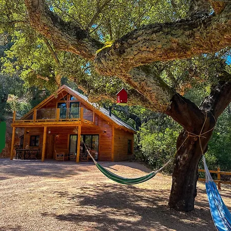 Ferienhaus Del Bosque Cerca De *