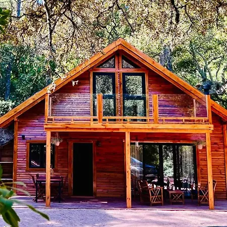 Del Bosque Cerca De Ferienhaus
